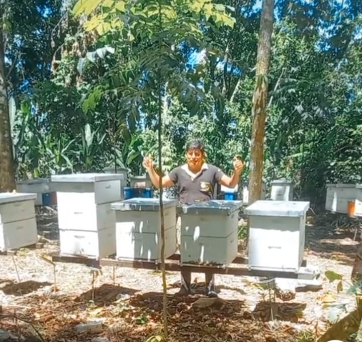 Abejas que resisten entre El Choré y el Amboró