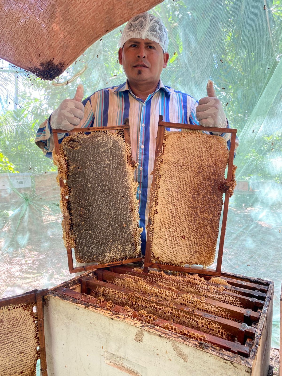 Productor revisa colmenas de ASAEY en Yapacaní.
