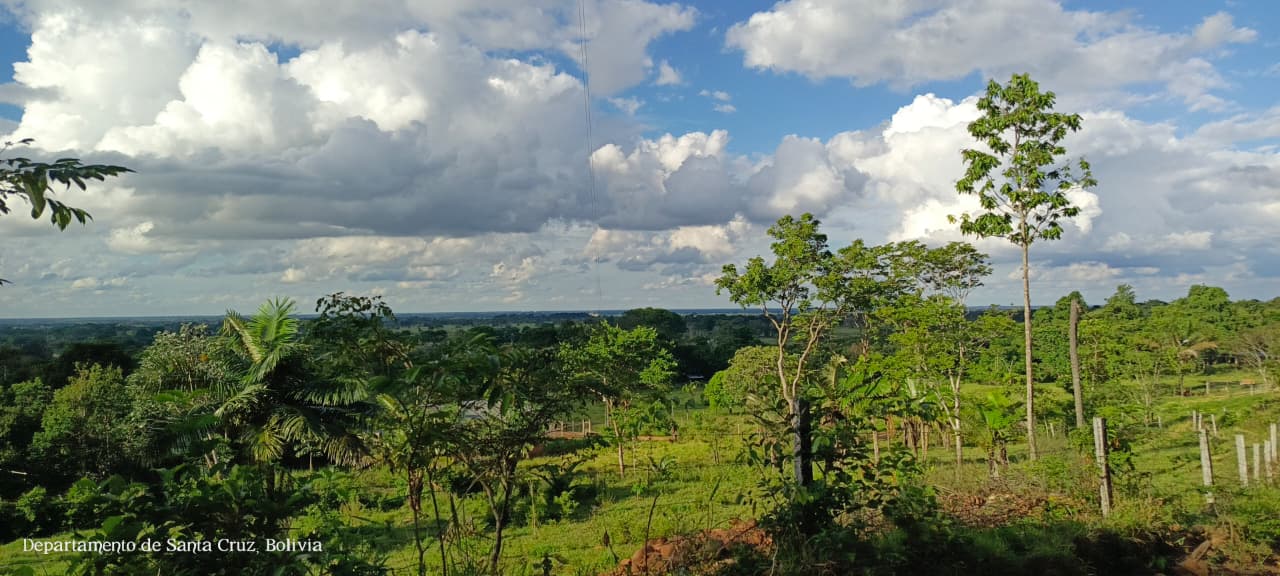 Viaje a Yapacaní: producción, caminos críticos y una propuesta para restaurar la conectividad rural