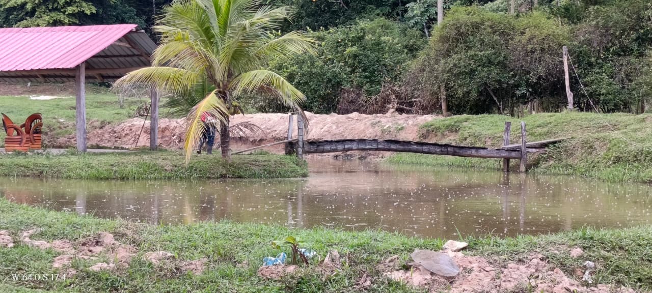 Poza de piscicultura en un territorio productivo de Yapacaní.